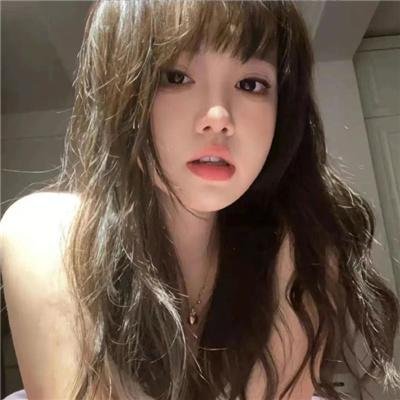 美国鸟类